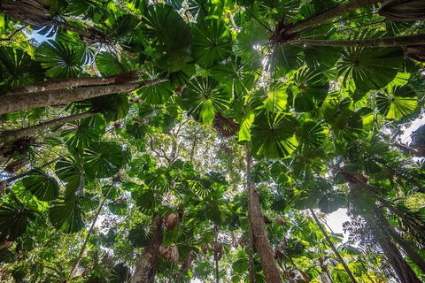 5 Day Australia Retreat: Queensland Daintree - Sydneys Hotel 2