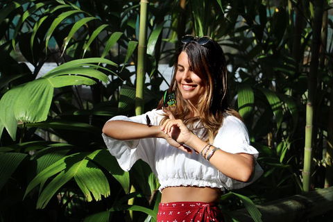 Australian Butterfly Sanctuary - Sydneys Hotel 1