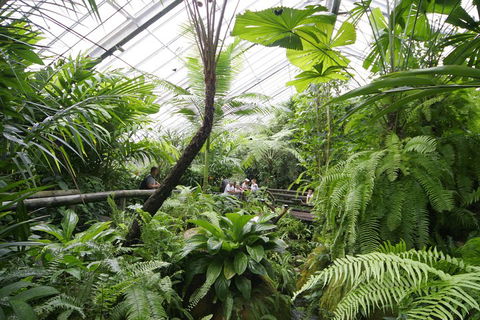 Australian Butterfly Sanctuary - Sydneys Hotel 3