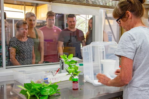 Australian Butterfly Sanctuary - Sydneys Hotel 5