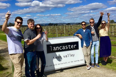 Swan Valley Tour From Perth: Wine, Beer And Chocolate Tastings - Sydneys Hotel 1