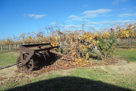 Swan Valley Tour From Perth: Wine, Beer And Chocolate Tastings - Sydneys Hotel 3