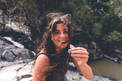 Springbrook AndTamborine Rainforest Tour Incl Natural Bridge And Glow Worm Cave - Sydneys Hotel 1