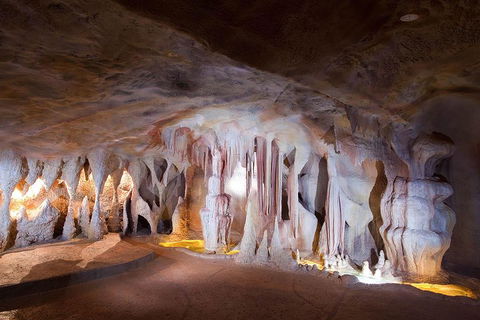 Springbrook AndTamborine Rainforest Tour Incl Natural Bridge And Glow Worm Cave - Sydneys Hotel 4