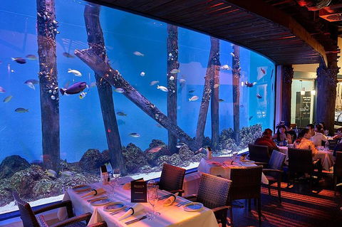 Cairns Aquarium And Small Group City Sightseeing Tour - Sydneys Hotel 4