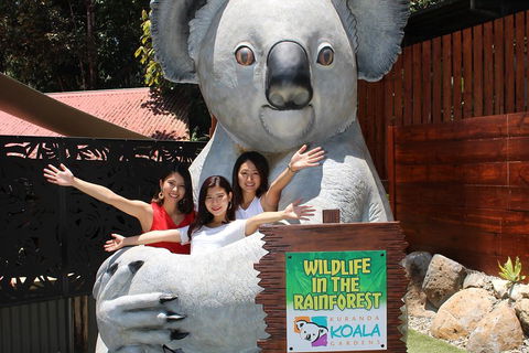 Kuranda Koala Gardens And Birdworld Admission Tickets - Sydneys Hotel 3