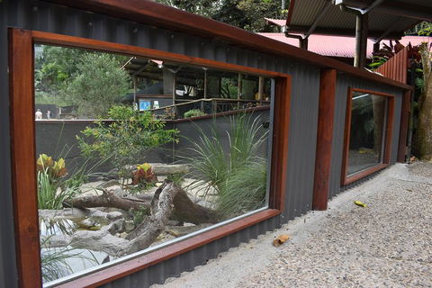Kuranda Koala Gardens And Birdworld Admission Tickets - Sydneys Hotel 4