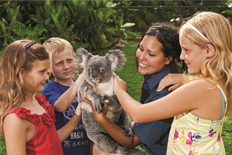 Kuranda Koala Gardens General Entry Ticket - Sydneys Hotel 0