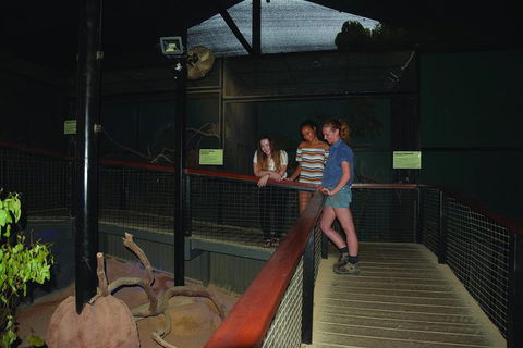 Kuranda Koala Gardens General Entry Ticket - Sydneys Hotel 2