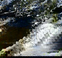 Cradle Mountain Day Tour from Launceston Including Lunch - Sydneys Hotel