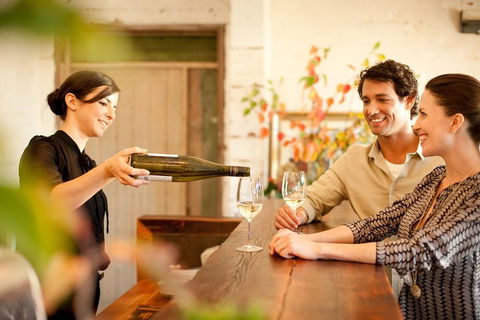Mornington Peninsula Winery Tours With Cheese, Chocolate Tastings From Melbourne - Sydneys Hotel 2