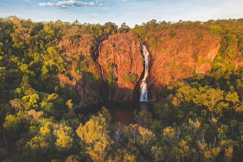 Litchfield National Park Waterfalls And Wildlife Tour From Darwin - Sydneys Hotel 2