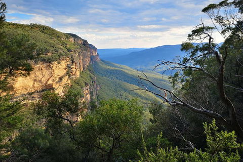 Blue Mountains Day Tour With Wildlife At Sunset From Sydney - Sydneys Hotel 5