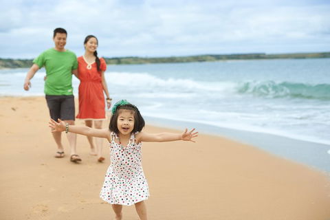 Phillip Island Penguin Parade Day Trip With Koala Conservation Reserve Visit - Sydneys Hotel 5