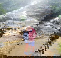 Blue Mountains Day Trip from Sydney with amazing lookouts Private Tour - Sydneys Hotel