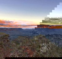Blue Mountains Sunset Tour  Kangaroos  Koala Encounter Private Tour - Sydneys Hotel