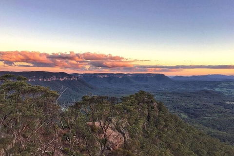 Blue Mountains Sunset Tour | Kangaroos & Koala Encounter (Private Tour) - Sydneys Hotel 0
