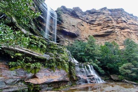 Blue Mountains Sunset Tour | Kangaroos & Koala Encounter (Private Tour) - Sydneys Hotel 2