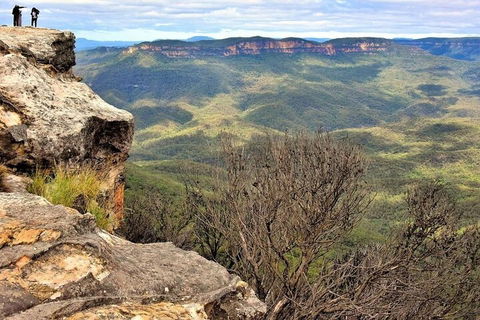 Blue Mountains Sunset Tour | Kangaroos & Koala Encounter (Private Tour) - Sydneys Hotel 4