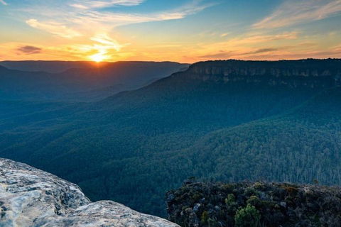 Blue Mountains Sunset Tour | Kangaroos & Koala Encounter (Private Tour) - Sydneys Hotel 5