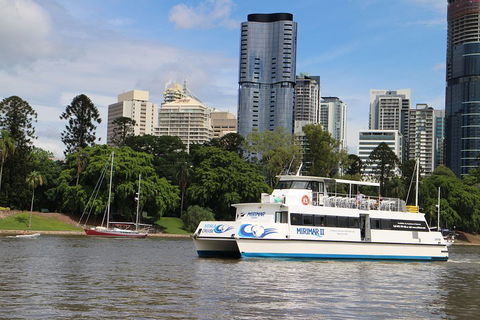 Lone Pine Koala Sanctuary Admission With Brisbane River Cruise - Sydneys Hotel 2