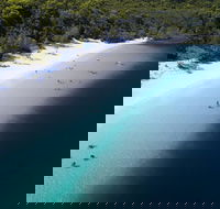 All-Inclusive Fraser Island Day Tour - Sydneys Hotel