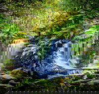 Day Tour in Mt. Field Mt. Wellington Bonorong Wildlife Sanctuary and Richmond - Sydneys Hotel