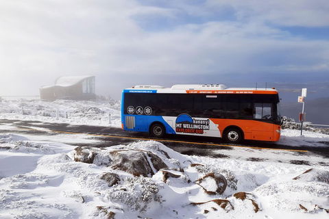 Hobart Hop-On Hop-Off Bus & Kunanyi/Mt Wellington Tour - Sydneys Hotel 5