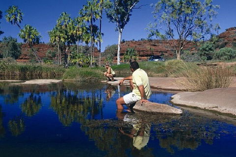 Palm Valley 4WD Day Tour - Sydneys Hotel 1