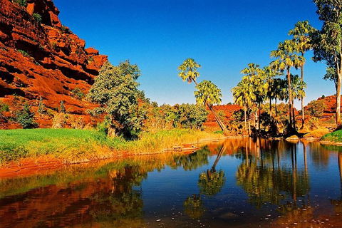 Palm Valley 4WD Day Tour - Sydneys Hotel 2