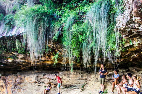 Sunset Blue Mountains Wilderness & Wildlife Tour Without The Crowds - Sydneys Hotel 1