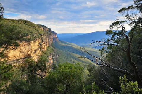Sunset Blue Mountains Wilderness & Wildlife Tour Without The Crowds - Sydneys Hotel 2