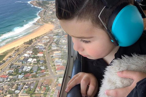 Sydney Harbour Scenic Flight - Sydneys Hotel 1
