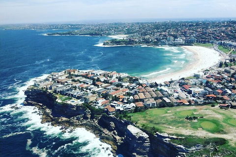 Sydney Harbour Scenic Flight - Sydneys Hotel 2