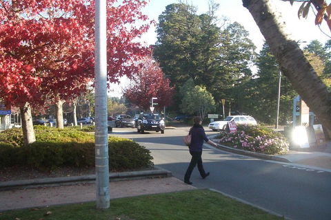 PRIVATE All-Day Blue Mountains Tour With Professional Guide For Up To 4 People - Sydneys Hotel 1