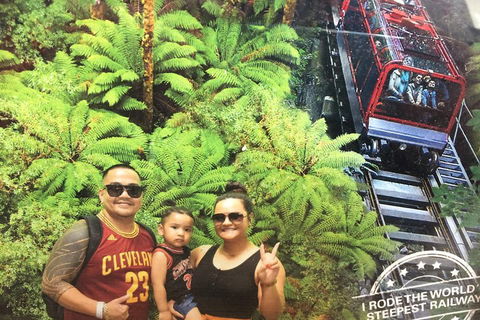 Blue Mountains Private Full-Day Tour From Sydney With Cruise - Sydneys Hotel 3