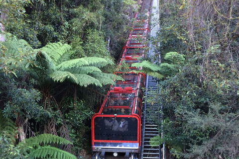 Blue Mountains Private Full-Day Tour From Sydney With Cruise - Sydneys Hotel 5