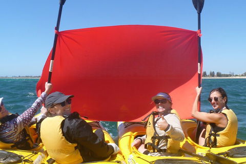 Seal Island And Penguin Island Or Point Peron Sea Kayak Tour - Sydneys Hotel 2