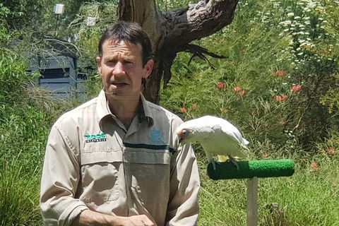 Healesville Sanctuary And Rayners Orchard Tour From Melbourne - Sydneys Hotel 0