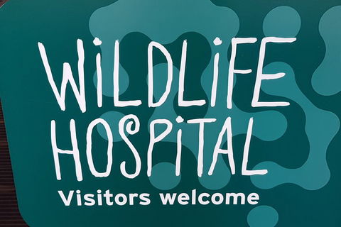 Healesville Sanctuary And Rayners Orchard Tour From Melbourne - Sydneys Hotel 1