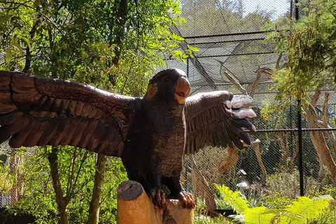 Healesville Sanctuary And Rayners Orchard Tour From Melbourne - Sydneys Hotel 2