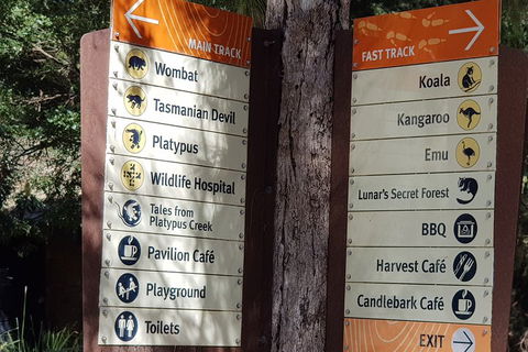 Healesville Sanctuary And Rayners Orchard Tour From Melbourne - Sydneys Hotel 3