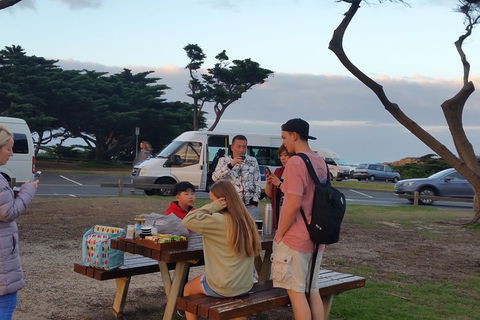Surf Tour And Lesson - Sydneys Hotel 2