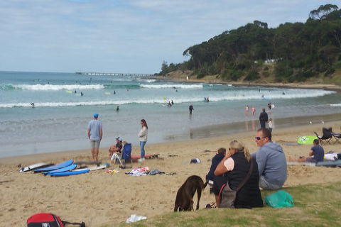 Surf Tour And Lesson - Sydneys Hotel 5