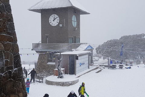 Mt Buller Day Trip From Melbourne - Sydneys Hotel 0