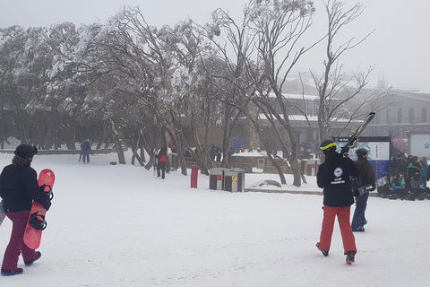Mt Buller Day Trip From Melbourne - Sydneys Hotel 1