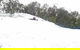 Mt Buller Day Trip From Melbourne - thumb 2