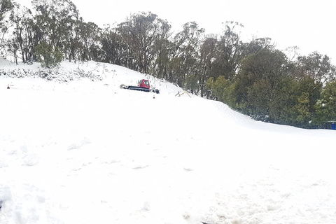 Mt Buller Day Trip From Melbourne - Sydneys Hotel 2