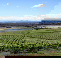 Private Hunter Valley Wine-Tasting Day Tour from Sydney - Sydneys Hotel