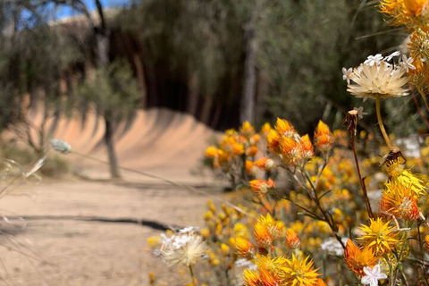 The Big Wave Rock (Private) Day Tour - Sydneys Hotel 3